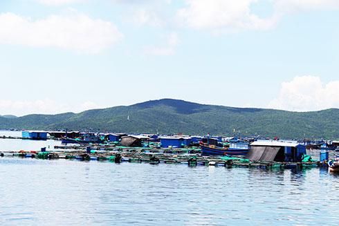 Một góc vùng nuôi thủy sản lồng bè tại xã Vạn Thạnh (huyện Vạn Ninh).