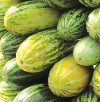 Món ăn giải nhiệt vị thuốc từ quả dưa gang