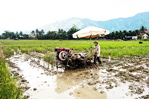 Nông dân xã Suối Tiên làm đất chuẩn bị gieo sạ vụ đông xuân.