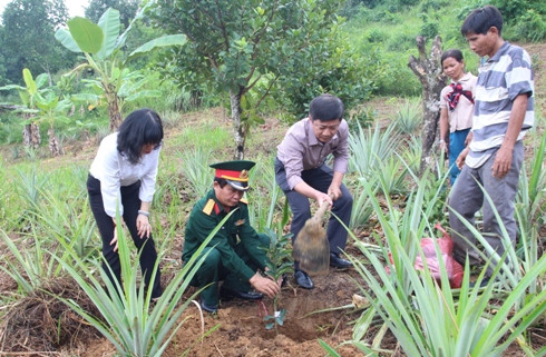 Trồng tặng cây giống cho gia đình ông Cao Gia Ha.