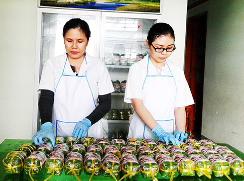 Quản lý thuế lĩnh vực thương mại ở Diên Khánh: Đạt kết quả khả quan