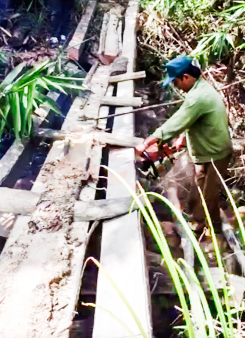 Bảo vệ rừng thượng nguồn Ea Krông Rou