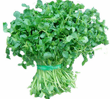 Cải xoong giúp giảm huyết áp, ngừa ung thư, đột quỵ