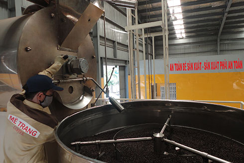 Hoạt động sản xuất của Công ty Cổ phần Cà phê Mê Trang.