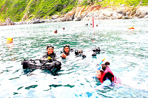 Chất lượng tour 4 đảo: Sẽ được cải thiện hơn?