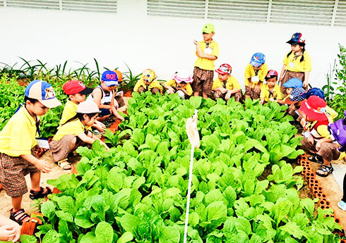 Dạy học mầm non: Lấy trẻ làm trung tâm