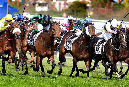 Thủ tướng đồng ý cho Hà Nội làm trường đua ngựa