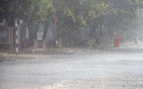 Từ 27 đến 30-12: Toàn tỉnh có mưa vừa, mưa to, lượng mưa phổ biến 30-70mm/ngày