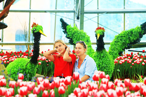 Nhiều hoạt động vui chơi, giải trí