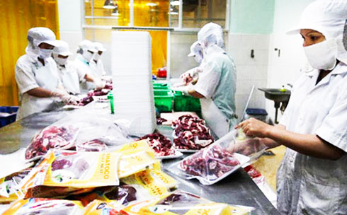 Packing Khatoco ostrich meat