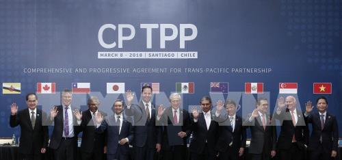 Ngày 19/7, trưởng đoàn đàm phán tới từ 11 quốc gia thành viên Hiệp định Đối tác toàn diện và tiến bộ xuyên Thái Bình Dương (CPTPP). Ảnh: TTXVN phát