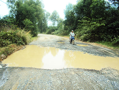 "Ao" trên tỉnh lộ