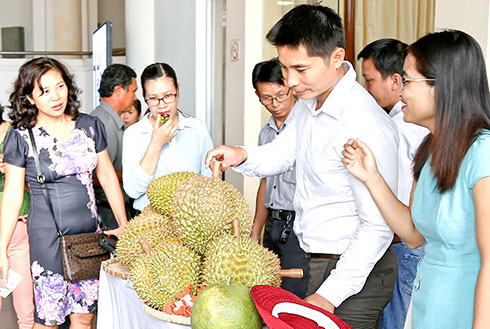 Giới thiệu sản phẩm sầu riêng gap đầu tiên ở Khánh Hòa.