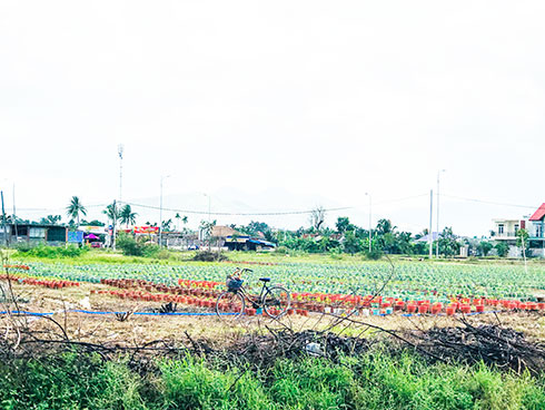 Dự án Bến xe phía nam TP. Nha Trang: Sẽ hoàn thành vào cuối năm 2019