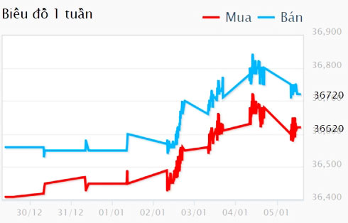 Giá vàng SJC tăng gần 200.000 đồng/lượng trong tuần