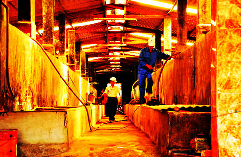 Nước mắm Châu Sơn