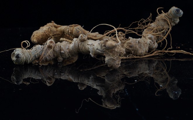 Trưng bày 'Báu vật đại ngàn' diễn ra cả năm 2019 tại Bảo tàng Lịch sử Quốc gia