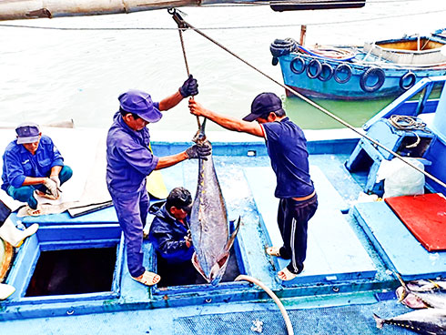 Niềm vui chuyến biển đầu năm