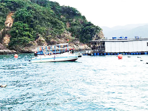 Bè du lịch của Công ty TNHH Dịch vụ Lặn Biển Xanh  đang neo gần Bãi Tranh, phía đông nam đảo Trí Nguyên.