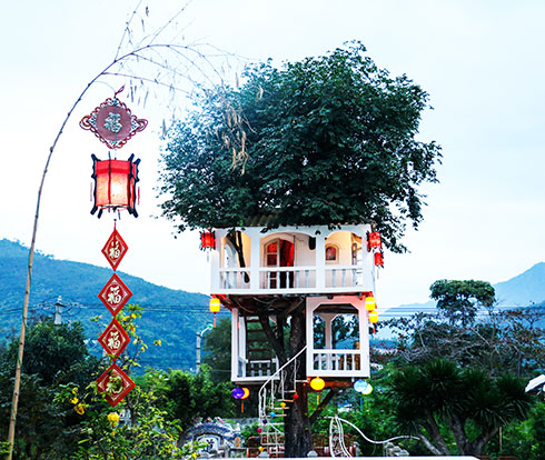 Ngôi nhà trên cây thị của ông Nguyễn Văn Phúng.