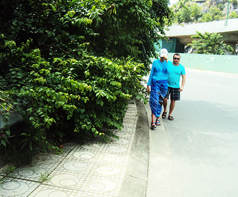 Cây xanh che phủ lối đi