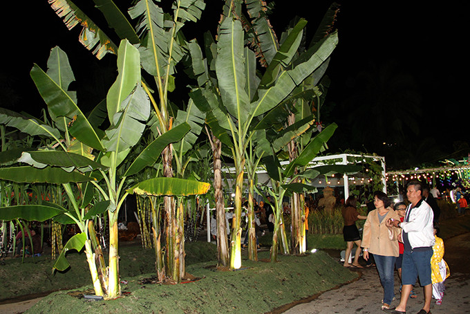 …and banana grove
