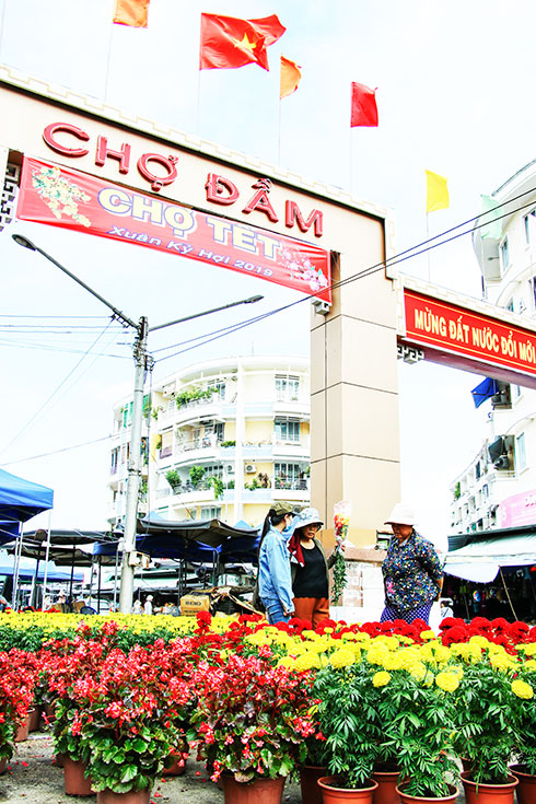 Thành phố vào xuân