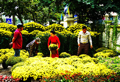 Local people buying Tet flowers