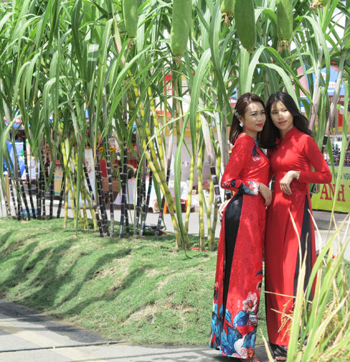 Nông sản tô sắc mùa xuân