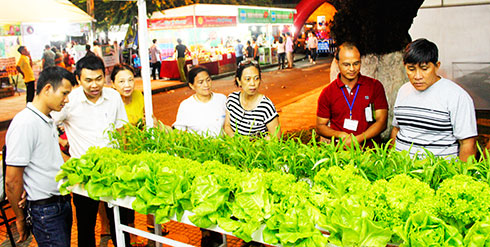 Người dân tham quan một gian hàng trình diễn mô hình trồng rau  sạch  tại Phiên chợ thực phẩm an toàn 2018.