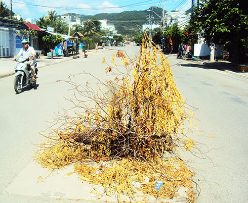 "Bẫy" giữa đường