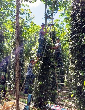 Hơn 200 học viên của Học viện Hải quân tình nguyện giúp dân tại Bà Rịa – Vũng Tàu