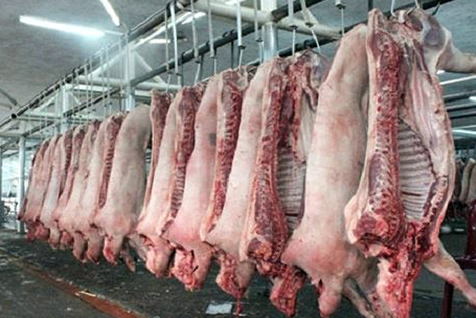 Nha Trang: Chưa tìm được địa điểm quy hoạch khu giết mổ gia súc, gia cầm tập trung