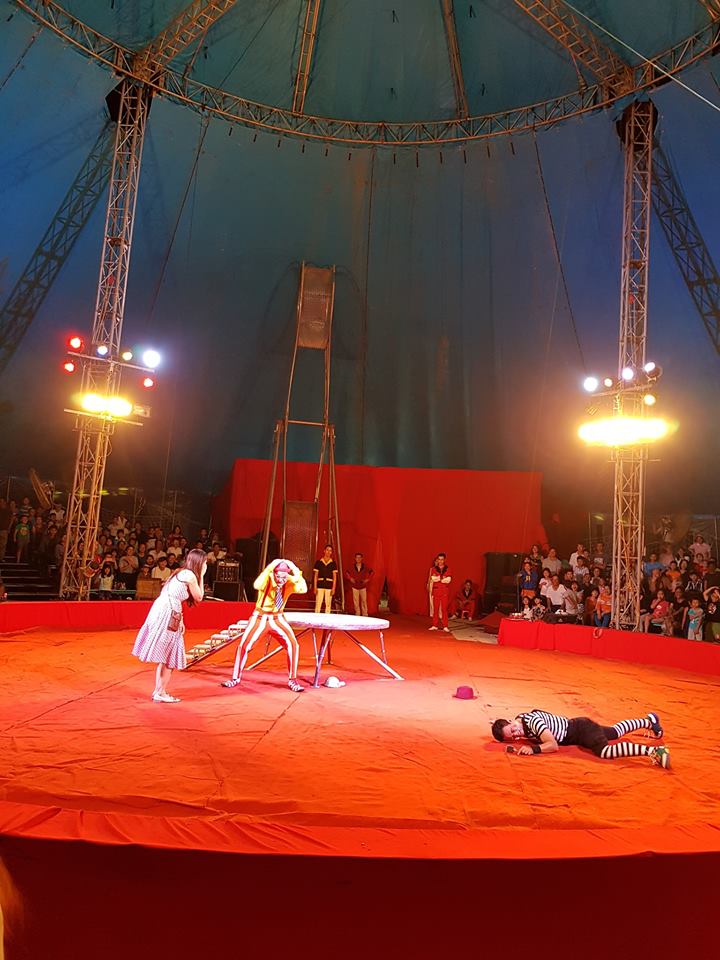 Clowns performing with a female spectator