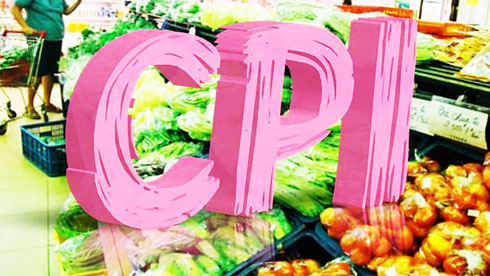 Consumer Product Index in January rises by 0.31%