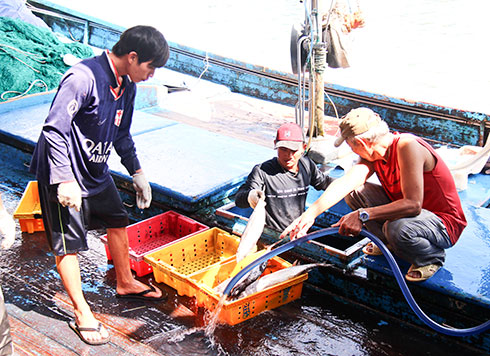 Vươn khơi khai thác trên tuyến biên giới biển giúp ngư dân vươn lên làm giàu,  góp phần bảo vệ chủ quyền biển đảo của Tổ quốc.