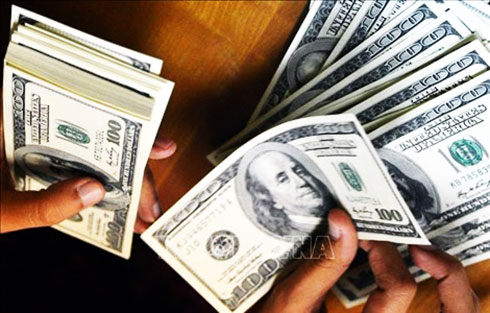 Tỷ giá trung tâm sáng 25/2 tăng 5 đồng