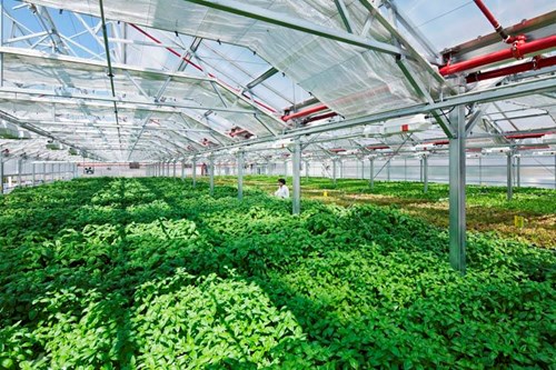 Hội Nông dân tỉnh tổ chức cho nông dân đi học tập ở Nhật Bản