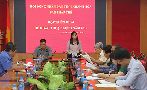 Triển khai kế hoạch hoạt động năm 2019