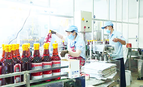 Fish sauce production line of 584 Nha Trang Seaproduct Joint Stock Company