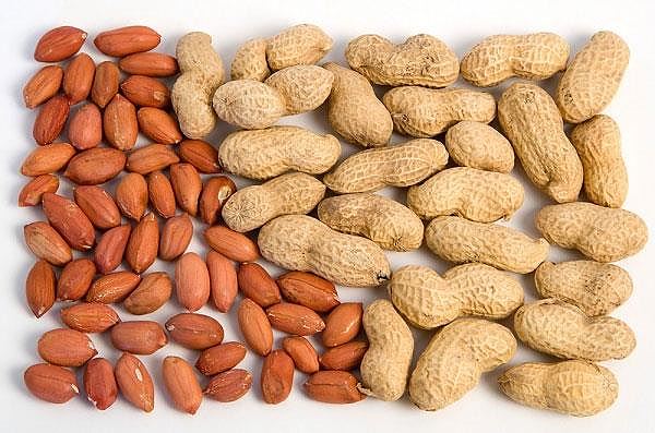 Bài thuốc cực tốt từ lạc chống ung thư, giảm huyết áp