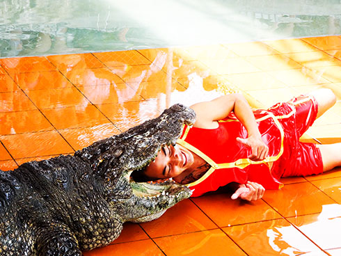 Performing with crocodile at 