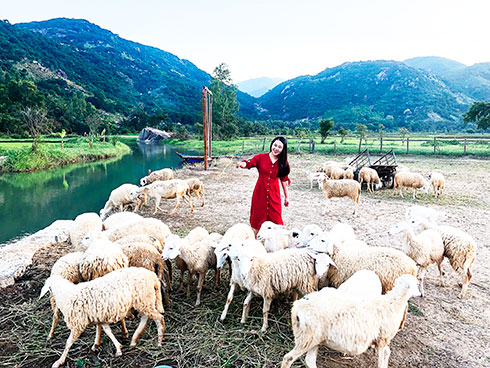 Visitors posing with sheeps at Suoi Tien Sheep Farm