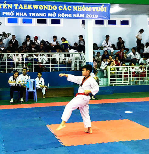 Hơn 80 vận động viên tranh tài