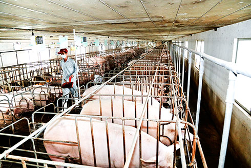 Khẩn trương xác minh nguồn gốc