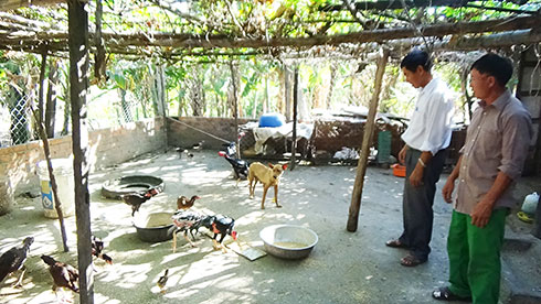 Một cựu chiến binh gương mẫu