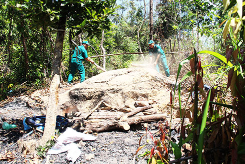 Lực lượng của Ban Quản lý rừng phòng hộ Cam Lâm triệt phá lò than tại tiểu khu 313. 