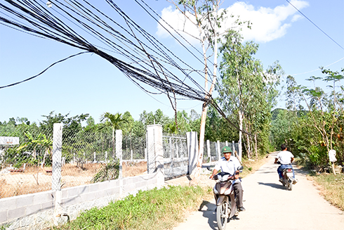 Dây điện ở Phước Sơn chủ yếu được móc tạm lên cây, luồn trong hàng rào nên rất mất an toàn.