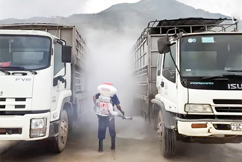 Siết chặt hoạt động vận chuyển heo