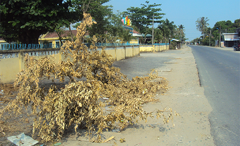 "Bẫy" trước trường học